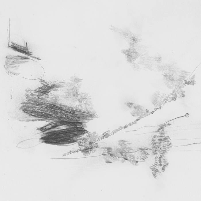 Perila "The Air Outside Feels Crazy Right Now" LP