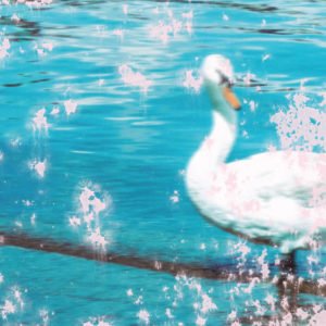 PVAS "Slipstream" 12"