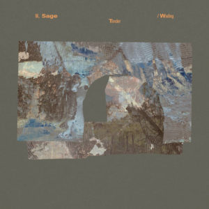 M. Sage "Tender / Wading" LP