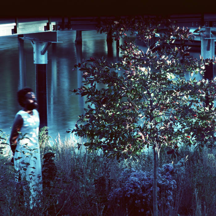 JJJJJerome Ellis "Vesper Sparrow" LP