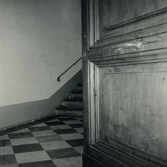 Cancer House "The Moth" 12"