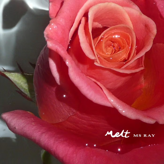 Ms Ray "MELT" 12"